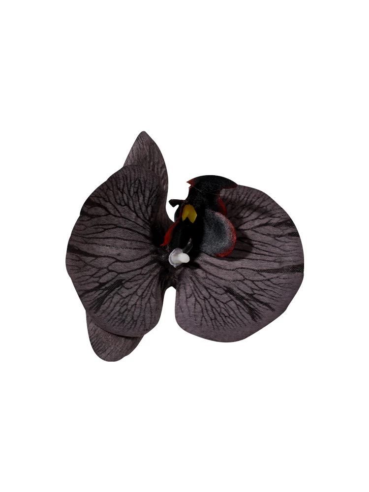 Orchid Clip #HD01 - Image 48