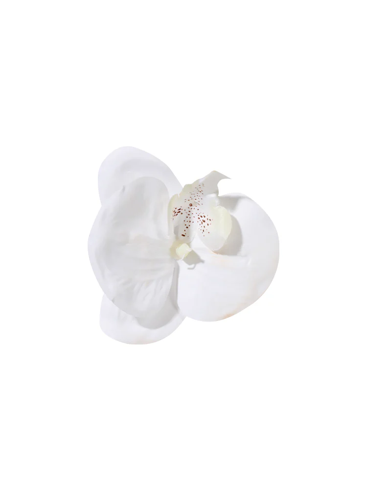 Orchid Clip #HD01 - Image 49