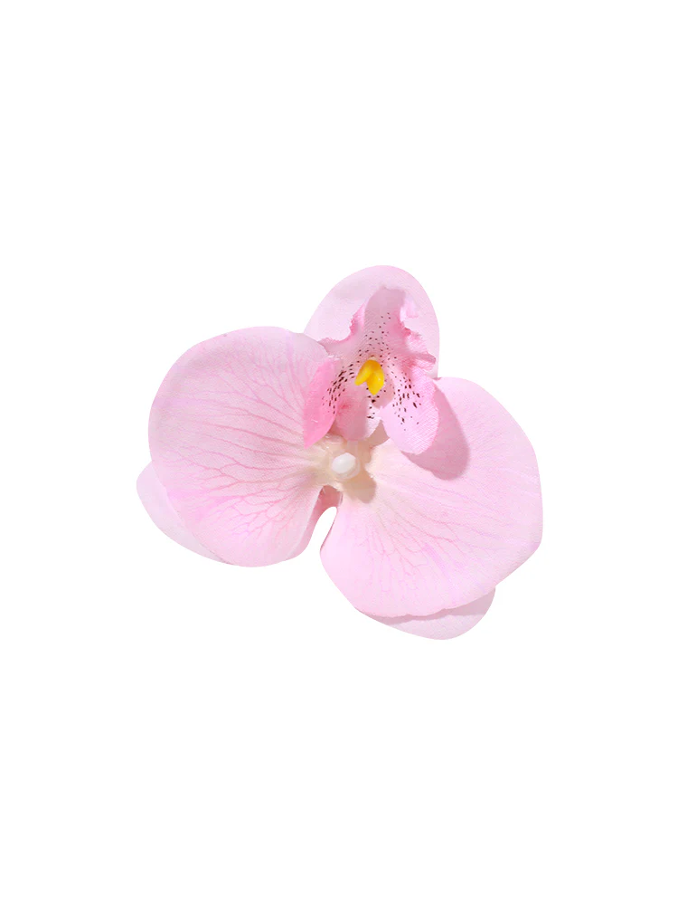 Orchid Clip #HD01 - Image 50