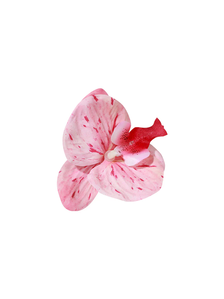 Orchid Clip #HD01 - Image 51