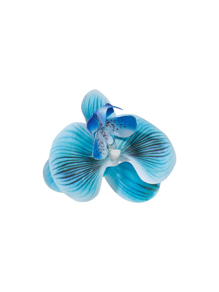 Orchid Clip #HD01 - Image 52